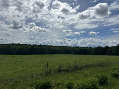 143.09+/- acres spanning Florida and Alabama with a rare - photo 15