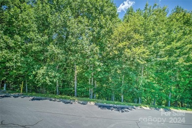 Large 1.6 acre lot in the heart of Mills River in desirable - photo 5