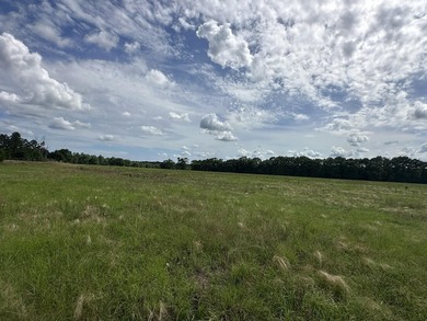 143.09+/- acres spanning Florida and Alabama with a rare - photo 16