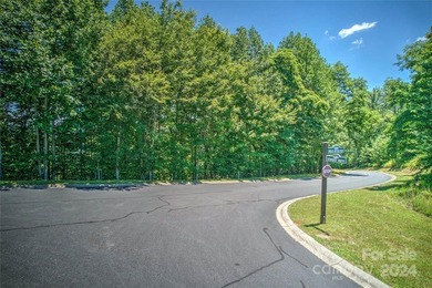 Large 1.6 acre lot in the heart of Mills River in desirable - photo 6