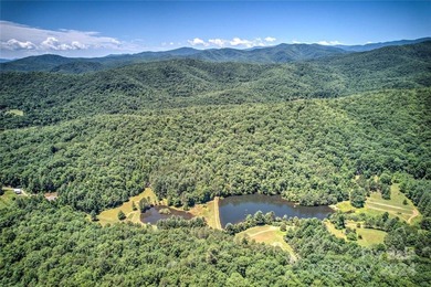 Large 1.6 acre lot in the heart of Mills River in desirable - photo 8