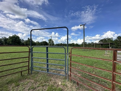 143.09+/- acres spanning Florida and Alabama with a rare - photo 25