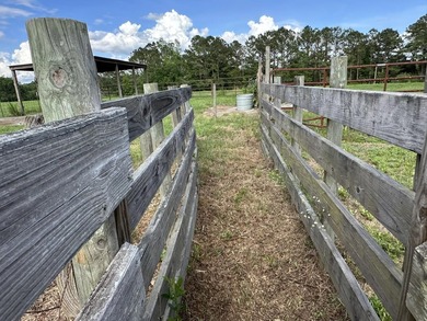 143.09+/- acres spanning Florida and Alabama with a rare - photo 27