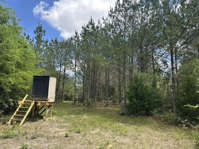 143.09+/- acres spanning Florida and Alabama with a rare - photo 30
