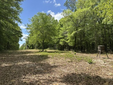 143.09+/- acres spanning Florida and Alabama with a rare - photo 31