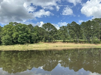 143.09+/- acres spanning Florida and Alabama with a rare - photo 42