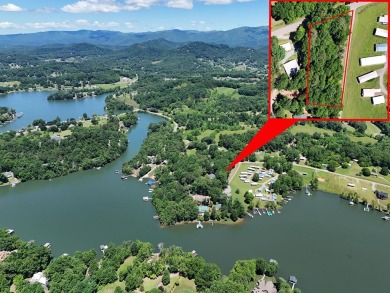 Lake Lot For Sale in Hayesville, North Carolina