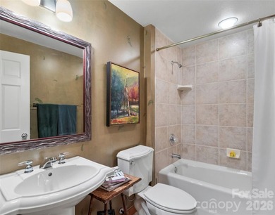 This home sits near the top of the mountain. Its recently - photo 22