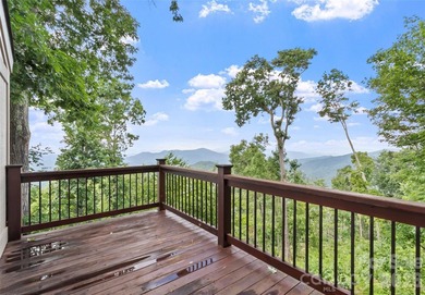 This home sits near the top of the mountain. Its recently - photo 25