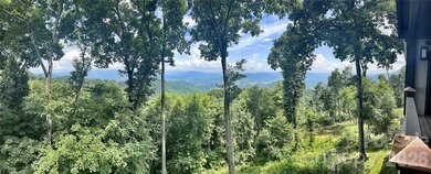 This home sits near the top of the mountain. Its recently - photo 26