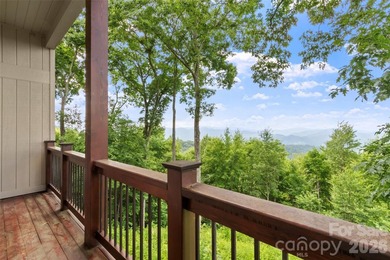 This home sits near the top of the mountain. Its recently - photo 41