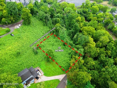 RARE South Knoxville lot with grand views of the Tennessee River - photo 1