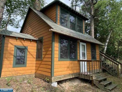 Lake Home For Sale in Northome, Minnesota