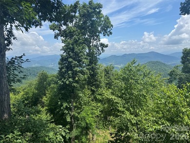This home sits near the top of the mountain. Its recently - photo 42