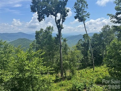 This home sits near the top of the mountain. Its recently - photo 43