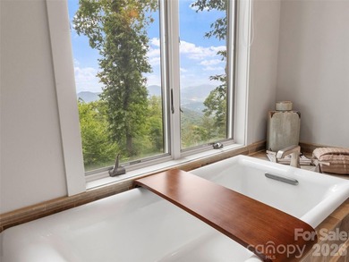 This home sits near the top of the mountain. Its recently - photo 48