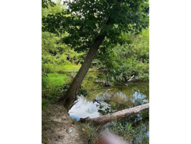 Lake Lot For Sale in Gowen, Michigan