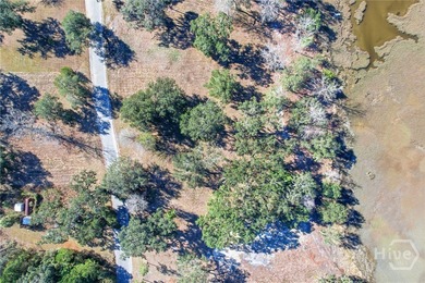 1.52 acre marsh front lot with magnificent views! Nestled in - photo 3