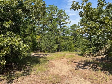 Land for Sale 20 Acre Lot (Tract 1 of 4 total). Located just 6 - photo 8