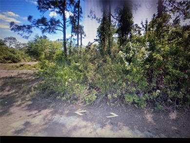 Lehigh Acres Area Lot For Sale in Lehigh Acres Florida