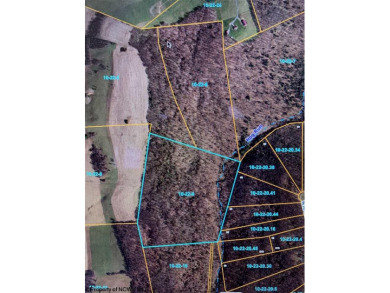 Lake Acreage Off Market in Bruceton Mills, West Virginia