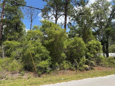 Lake Kathryn - Lake County Lot For Sale in Paisley Florida