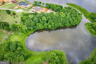 Rare opportunity to secure a premier waterfront homesite in the - photo 11