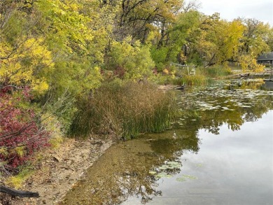 (private lake, pond, creek) Lot For Sale in Brandon Twp Minnesota