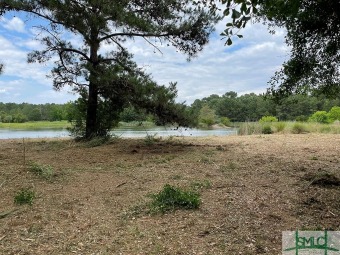 (private lake) Lot For Sale in Midway Georgia