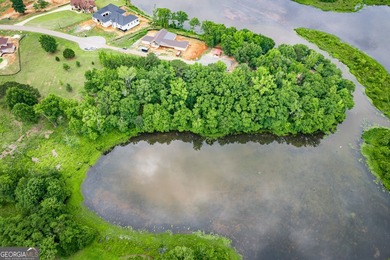 Rare opportunity to secure a premier waterfront homesite in the - photo 12