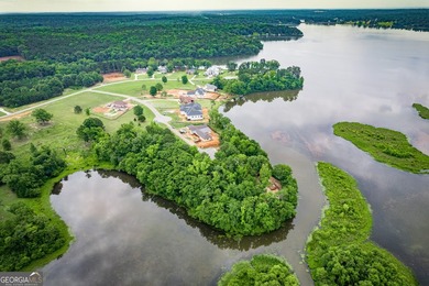 Rare opportunity to secure a premier waterfront homesite in the - photo 19
