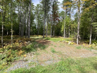 Big Indian Pond Lot For Sale in Saint Albans Maine