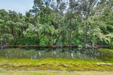 Discover easy Florida living in this beautifully updated 2BR/2BA - photo 41