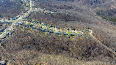 Welcome to your private retreat in the heart of Camdenton, where - photo 43