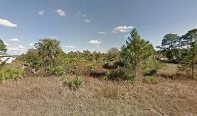 Lehigh Acres Area Lot For Sale in Lehigh Acres Florida