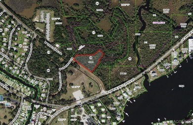 Would you like to own 18+ acres near the Homosassa River? Here - photo 5