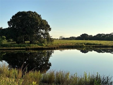 There are properties that offer land, and then there are - photo 34