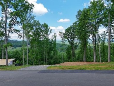 Lake Nottely Lot For Sale in Blairsville Georgia