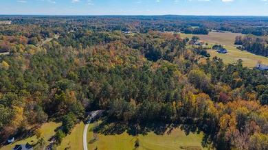 (private lake, pond, coastal) Lot Sale Pending in Carrollton Georgia