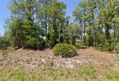 Lehigh Acres Area Lot For Sale in Lehigh Acres Florida