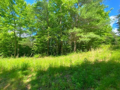 Lake Hiwassee Lot For Sale in Murphy North Carolina