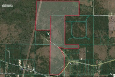 Don't miss your chance to own a unique piece of land with tons - photo 1