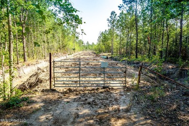 Don't miss your chance to own a unique piece of land with tons - photo 3