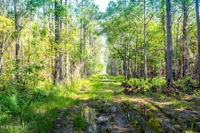 Don't miss your chance to own a unique piece of land with tons - photo 4
