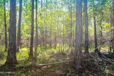 Don't miss your chance to own a unique piece of land with tons - photo 5