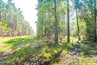 Don't miss your chance to own a unique piece of land with tons - photo 10