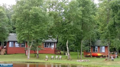 Lake Home For Sale in International Falls, Minnesota