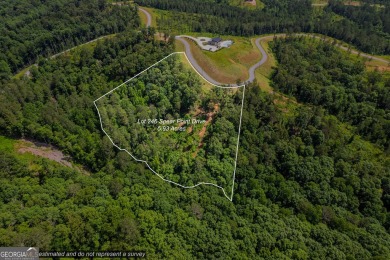 Lake Acreage For Sale in Talking Rock, Georgia