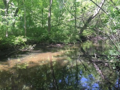 Lake Acreage For Sale in Portage, Michigan