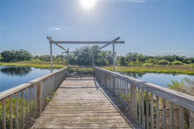 (private lake, pond, creek) Home For Sale in Lakeland Florida